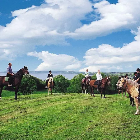 Farm stay Ponyhof Naeve Am Wittensee