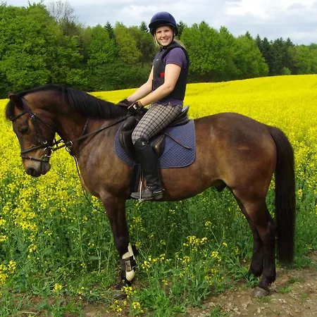 Farm stay Ponyhof Naeve Am Wittensee *