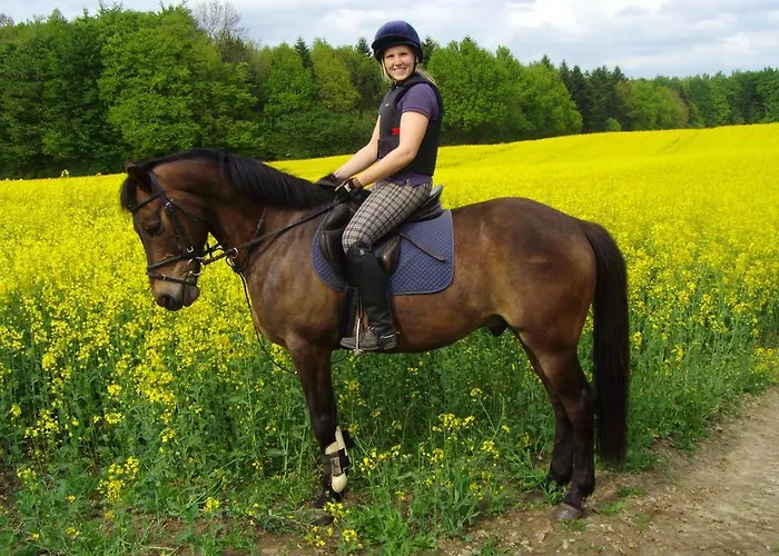 Vakantieboerderij Ponyhof Naeve Am Wittensee *